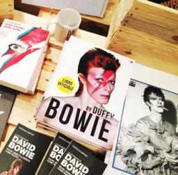 Выставка «Дэвид Боуи есть» в Болонье заканчивает свою работу
