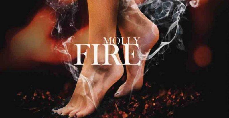 molly2017firetwt.jpg