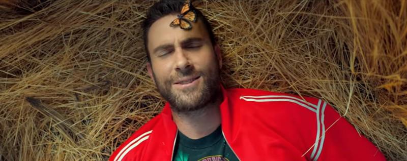 Maroon 5  What Lovers Do.jpg