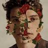 ShawnMendes2018cover.jpg