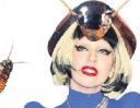 Леди Гага заказала шляпу, внутри которой будут ползать живые тараканы 