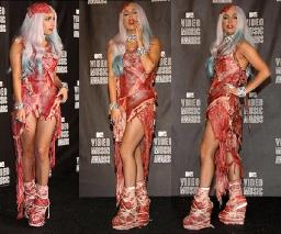 Платье из мяса от Леди Гага попало в музей 