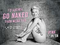 Пинк предпочитает протестовать обнаженной 