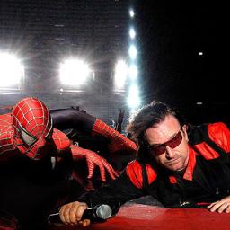 Новый вид паука назвали в честь солиста группы U2 