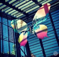 Белорусский участник &laquo;Евровидения-2013&raquo; будет платить за себя сам 