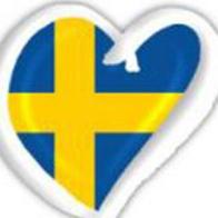 Азербайджан ищет голоса зрителей пропавшие при голосовании на &laquo;Евровидении&raquo; 