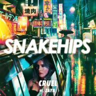 Зейн Малик спел в сопровождении электронного дуэта &laquo;Snakehips&raquo; 