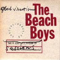 Майк Лав рассказал свою историю внутри &laquo;The Beach Boys&raquo;