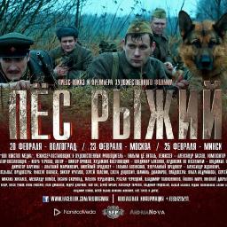 Премьера фильма «Пёс Рыжий» состоится в День защитника Отечества