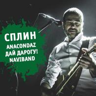 На юбилейный фестиваль &laquo;Рок за бобров&raquo; приедут хэдлайнеры всех лет 