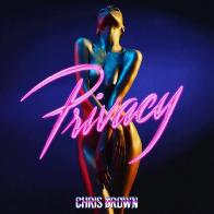 Крис Браун сочинил гимн сексу и клубной тусовке