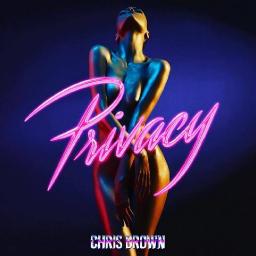 Крис Браун сочинил гимн сексу и клубной тусовке