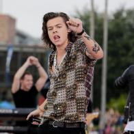 Гарри Стайлс &ndash; культурный феномен 2017 года