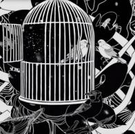 Земфира анонсирует альбом &laquo;Amore e Morte&raquo; клипом в электронном стиле 