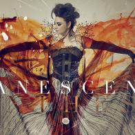 Из-за аварии «Evanescence» отыграли в Воронеже уникальный концерт