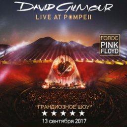 Показ концерта David Gilmour: Live At Pompeii