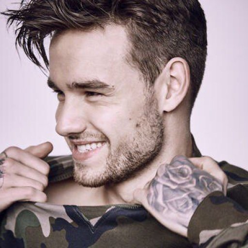 Liam-Payne-2017-sun-06