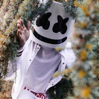 Marshmello-2017-tour-show-biz.by-45