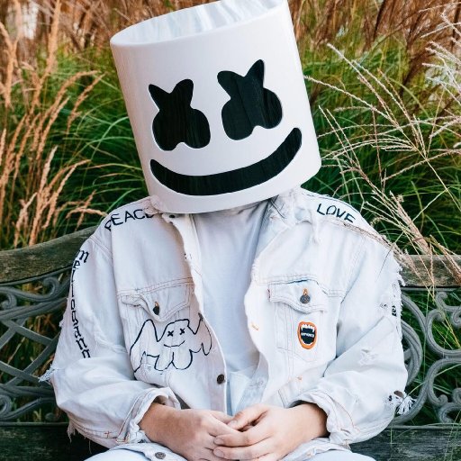 Marshmello-2017-tour-show-biz.by-27