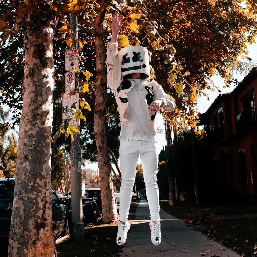 Marshmello-2017-tour-show-biz.by-32