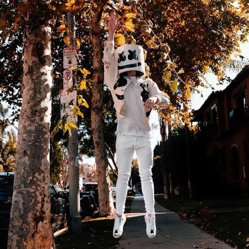 Marshmello-2017-tour-show-biz.by-32