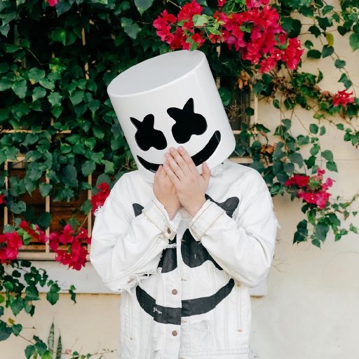 Marshmello-2017-tour-show-biz.by-33