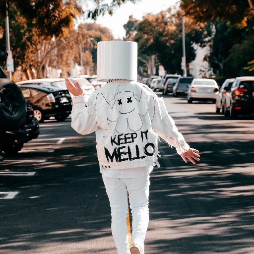 Marshmello-2017-tour-show-biz.by-34