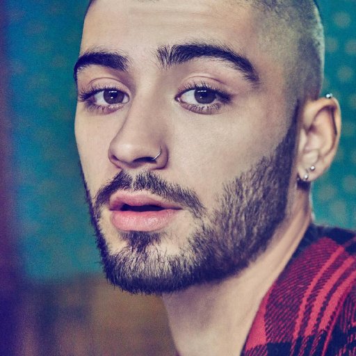 zayn-2017-01