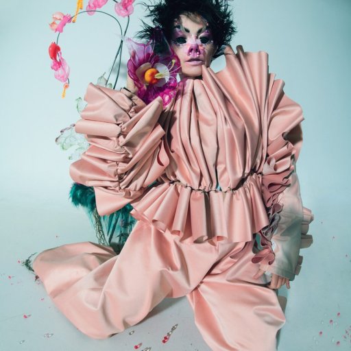 Bjork-2017-w-magazin-02