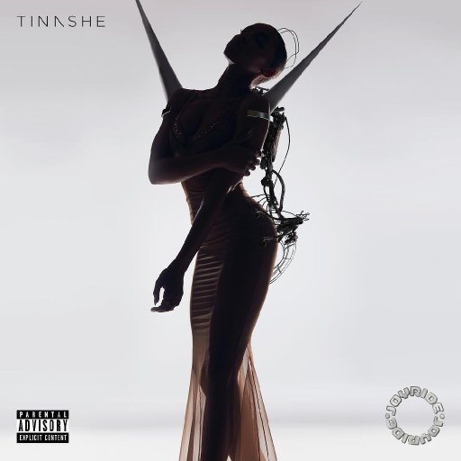 tinashe-2018-joyride-show-biz.by-11