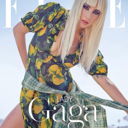 lady-gaga-2018-elle-04