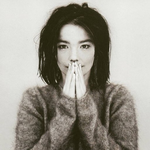 bjork-7936_n