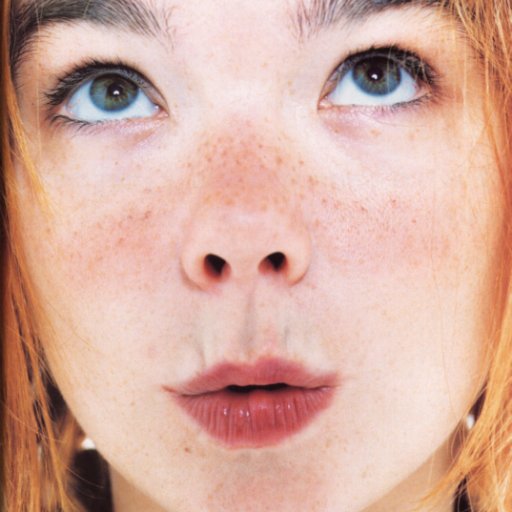 bjork-2010-02