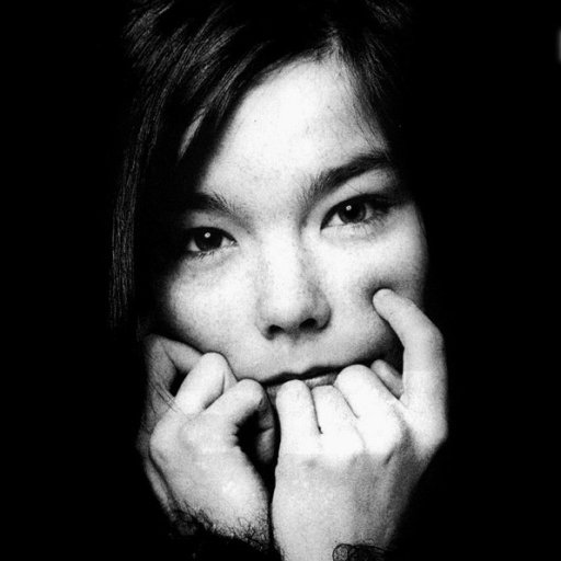 bjork-2010-05