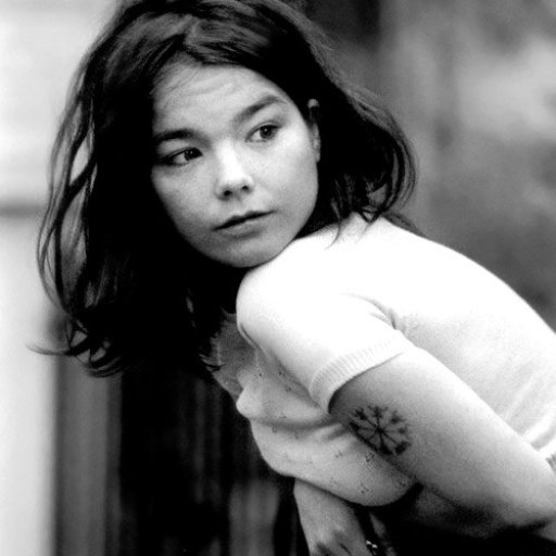 bjork-2010-17