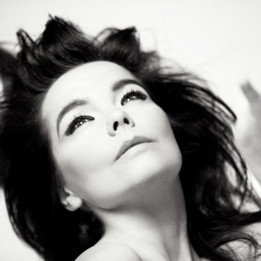 bjork-2010-19