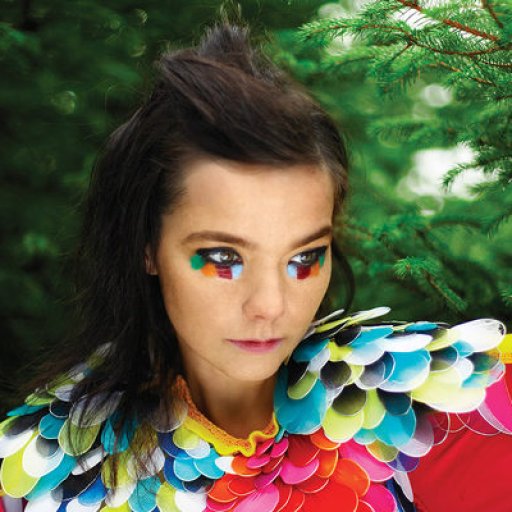 bjork-2010-21