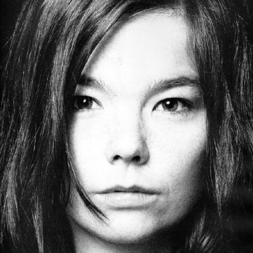 bjork-2010-22