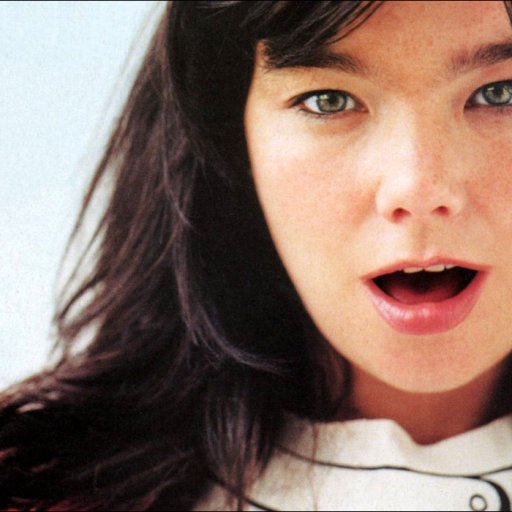 bjork-2010-23