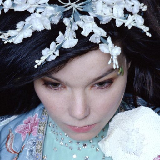 bjork-2010-26