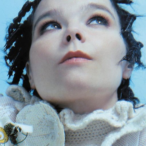 bjork-2010-27