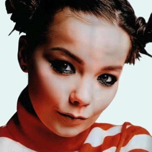 bjork-2010-28