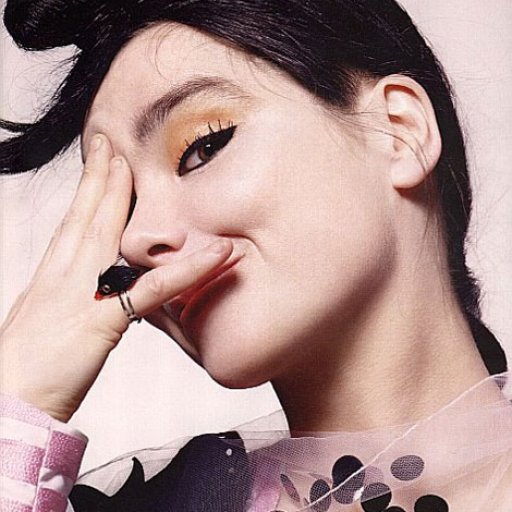 bjork-2010-29