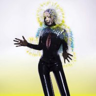 bjork-2016-image-show-biz.by-03