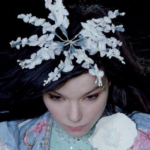 bjork-2016-image-show-biz.by-24