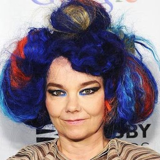 bjork-2016-image-show-biz.by-29