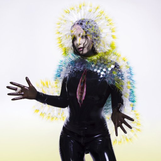 bjork-2016-image-show-biz.by-35