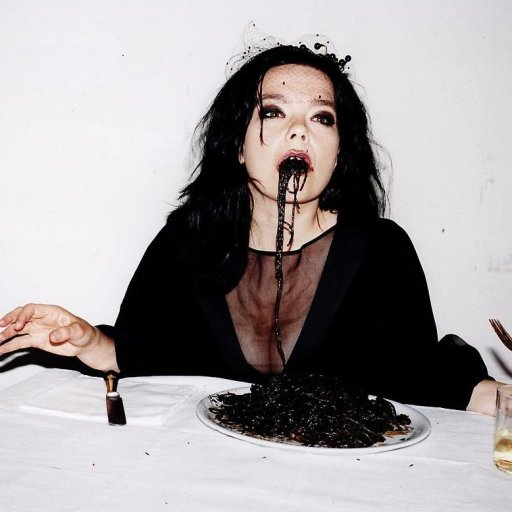 bjork-16