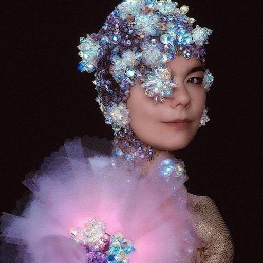 bjork-80_n