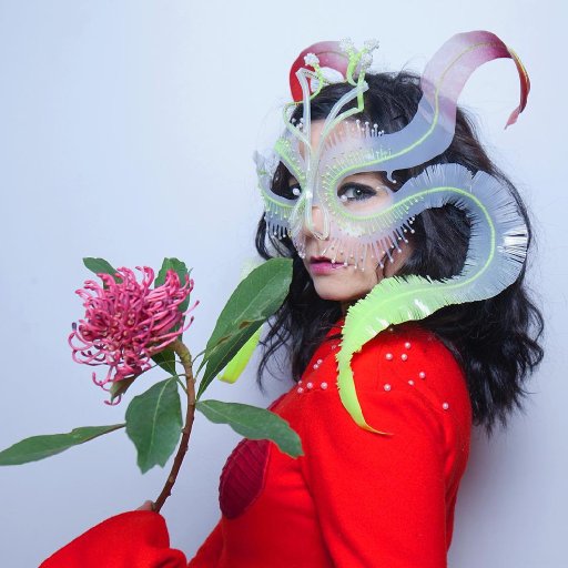 bjork-696_n